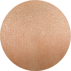 Collection image for: Normal Skin