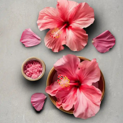 Collection image for: Hibiscus Flower (Japa)
