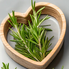 Collection image for: Rosemary Oil