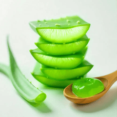 Aloe Leaf Extract - Simply Kids