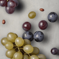 Grape seed extract - Simply Kids