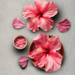 Hibiscus Flower (Japa) - Simply Kids