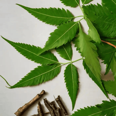 Neem oil - Simply Kids