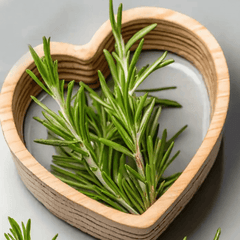 Rosemary Oil - Simply Kids
