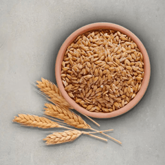 Wheat Germ Oil - Simply Kids