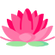 Lotus Extract